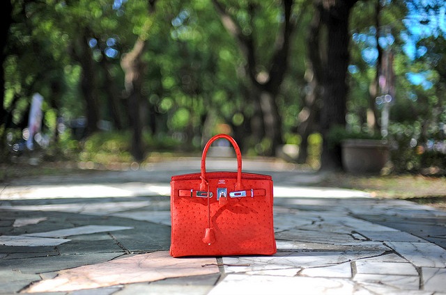 why should you buy a Fake Hermes Birkin Bag at a cheap price