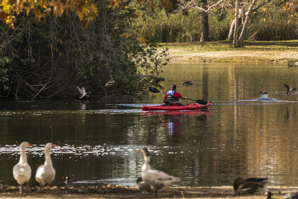 Whittier Narrows Offers a ‘Vision of What California Might Be’